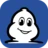 Michelin Logo