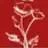 Rasayana Logo