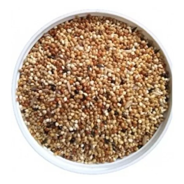 Karışık Muhabbet Kuşu Yemi 10 KG