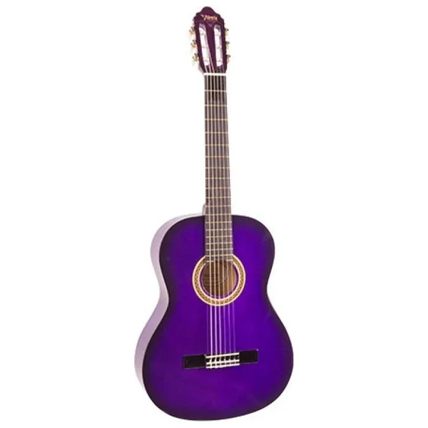 Valencia VC104PPS Mor Sunburst Klasik Gitar