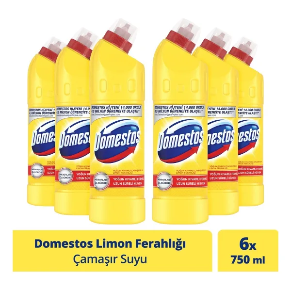 Domestos Limon Ferahlığı Çamaşır Suyu 750 ml 6'lı