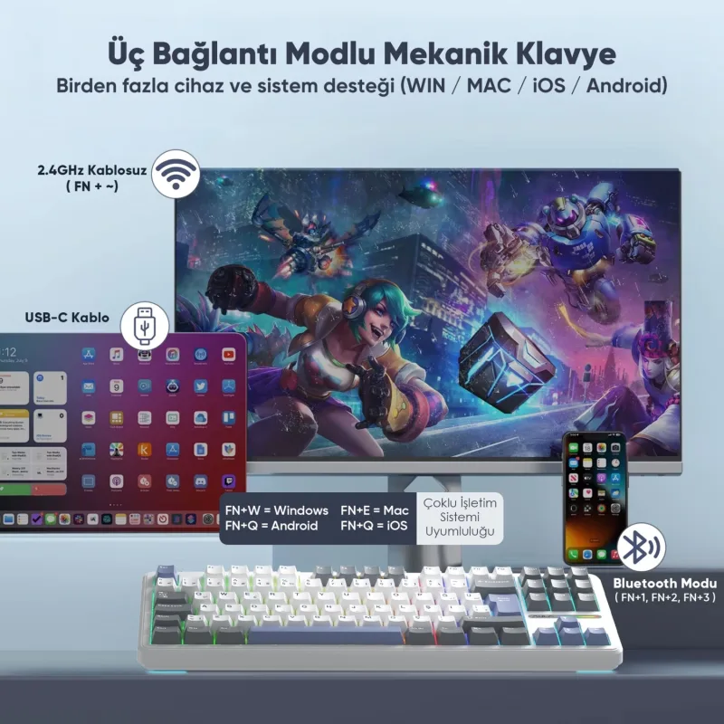 Aula F87 Pro Mavi RGB Tkl Graywood V4 Switch Kablolu/Kablosuz Mekanik Oyuncu Klavyesi - Görsel 3