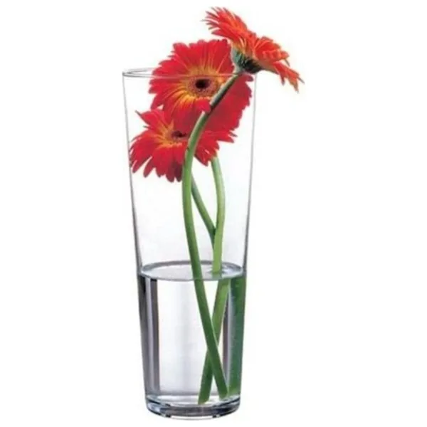 Paşabahçe 43177 cam vazo - botanica vazo 26 cm.