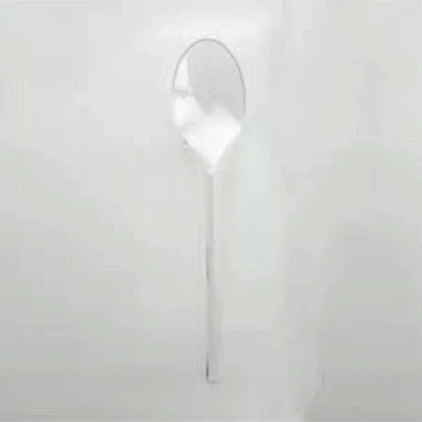 YOK YOK AMBALAJ Eko Plastik Şeffaf Kaşık 100'lü