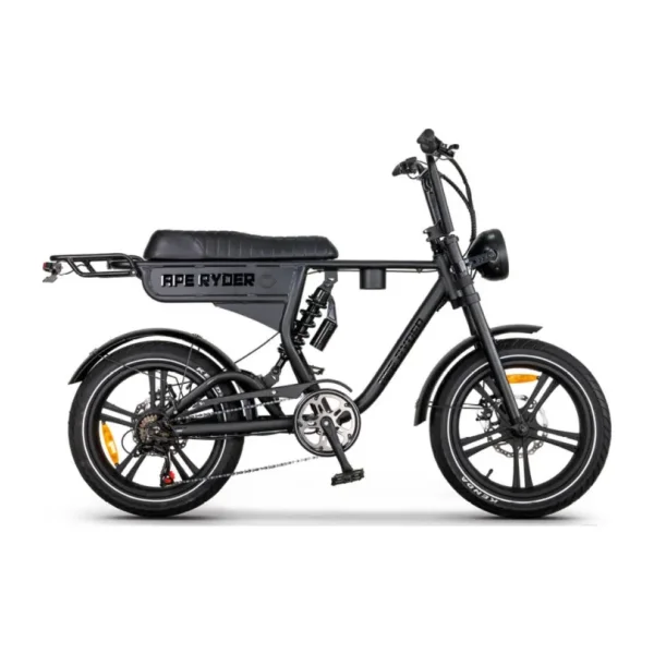 Ape Ryder DC20 250 W İki Kişilik Elektrikli Bisiklet