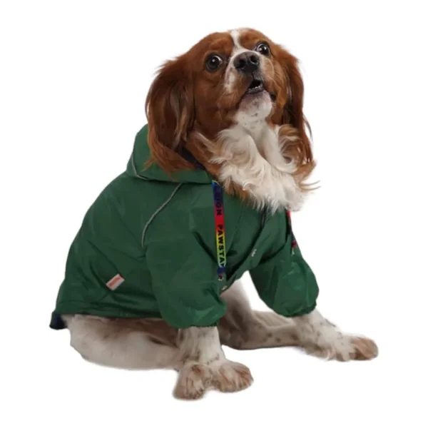 Pawstar Pluvia İçi Polar L Yeşil Köpek Yağmurluğu