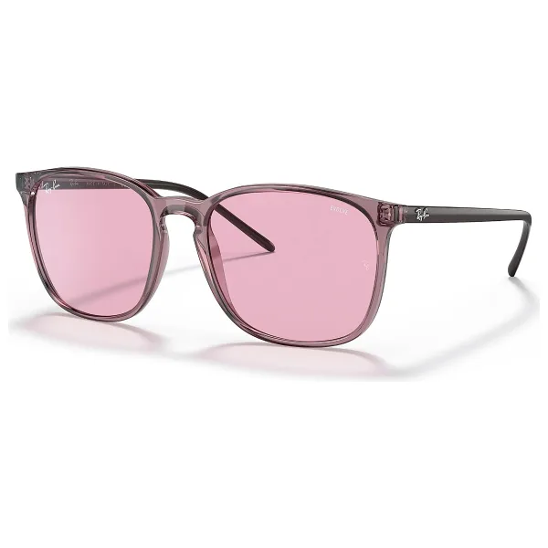 Ray-Ban 4387 Erkek Güneş Gözlüğü