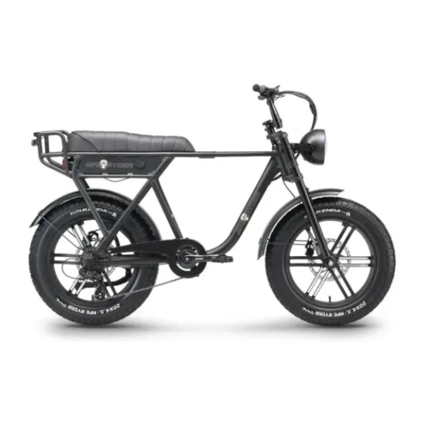Ape Ryder A10 250 W 2 Kişilik Elektrikli Bisiklet