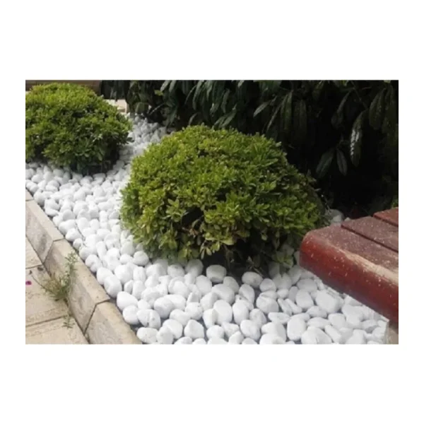 Ekodoğa Beyaz Dolomit Taş 25 Kg 4-6 Cm Dekoratif Taş Bahçe Süs Taşı Loche