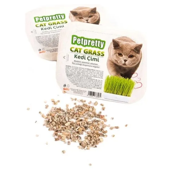 Pet Pretty Kedi Çimi Kedi Çimi