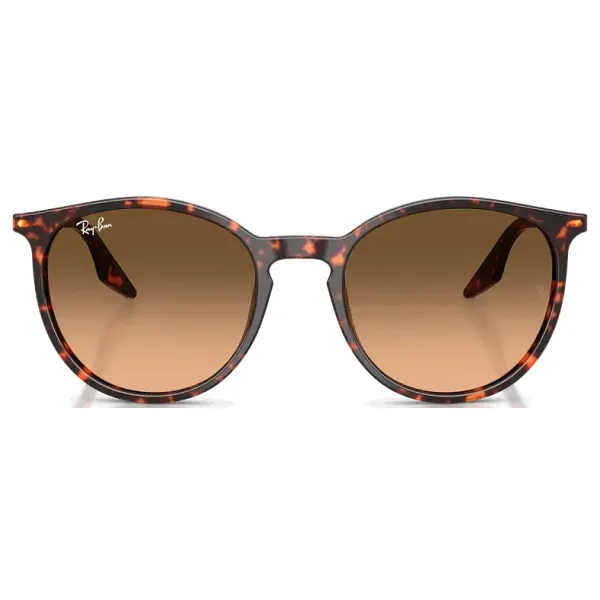 Ray-Ban 2204 Güneş Gözlüğü