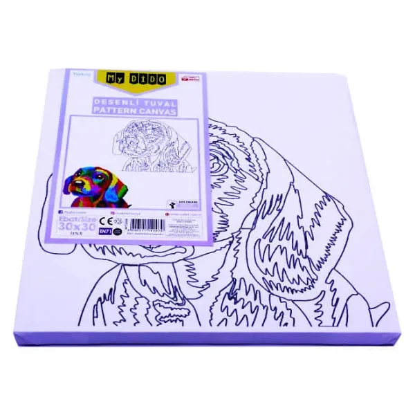 Südor Tuval Mydido 30X30 Cm Desenli