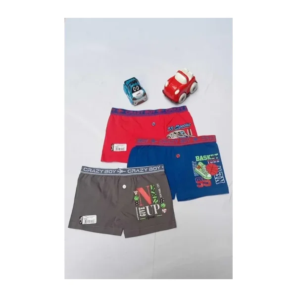 Tutku Erkek Çocuk Çok Renkli 6'Lı Elastan Pamuk Baskılı Boxer 0253