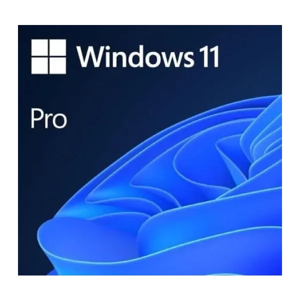Windows 11 Pro 64 Bit Türkçe Kutulu HAV-00159 İşletim Sistemi