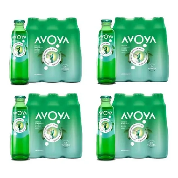 Avoya Maden Suyu 24x200 ml