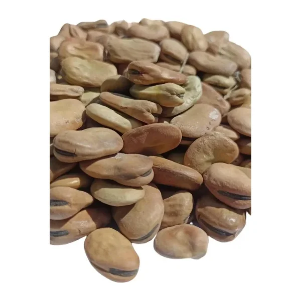 Şenler - Kuru Kabuklu Bakla 1 Kg - Yeni Mahsül