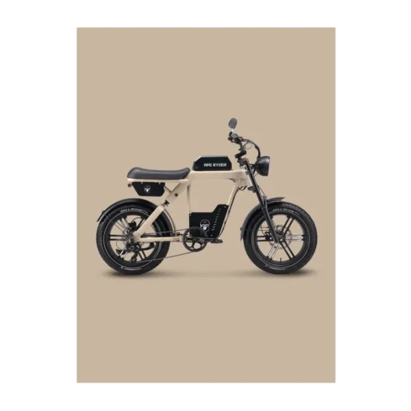 Ape Ryder Baboon 250 W Elektrikli Bisiklet