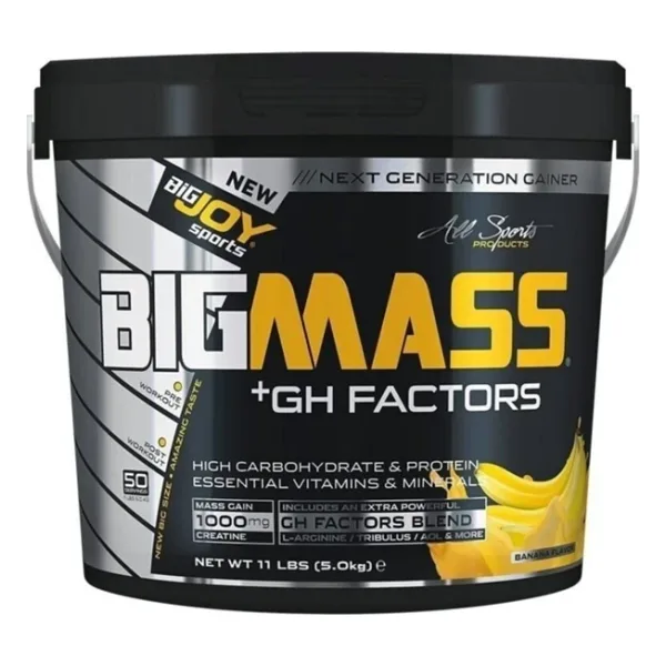 BigJoy Bigmass GH Factors Karbonhidrat Tozu 5000 gr Çikolatalı
