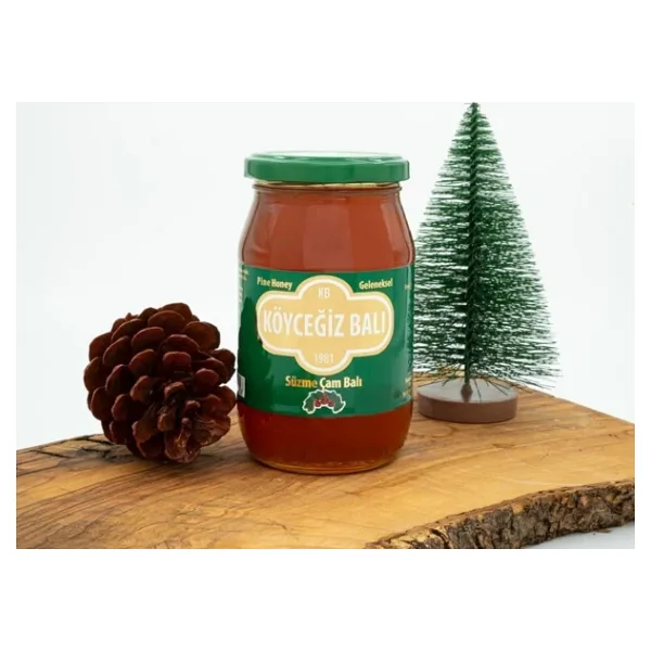 Köyceğiz 450 gr Çam Balı