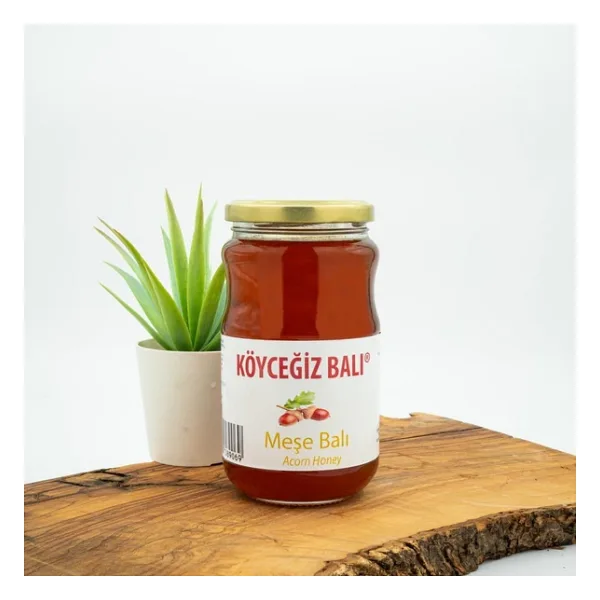 Köyceğiz Meşe Balı 450 gr Cam