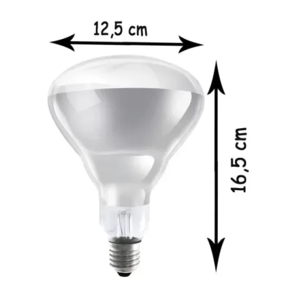 Ledvance 250 W Infrared Şeffaf Ampul E27