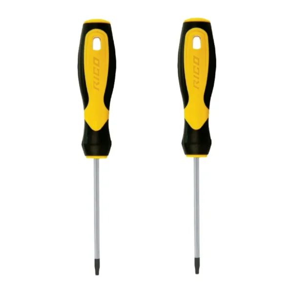 rico Torx Tornavida T20 T30 2 Adet