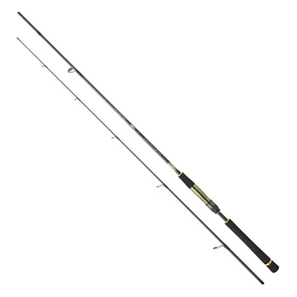 Daiwa CrossCast 305 cm 28-84 gr 2 Parça Shore Jigging Olta Kamışı