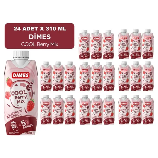 Dimes Cool Beryy 310 Ml X 24 Adet