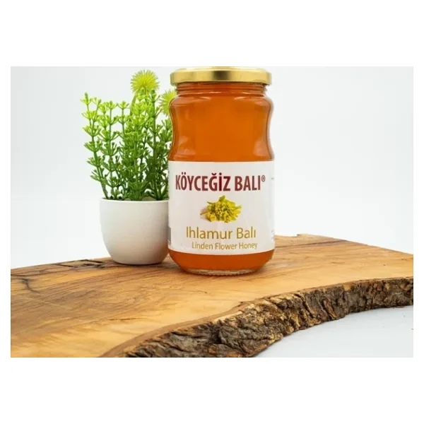 Köyceğiz Ihlamur Balı 450 gr