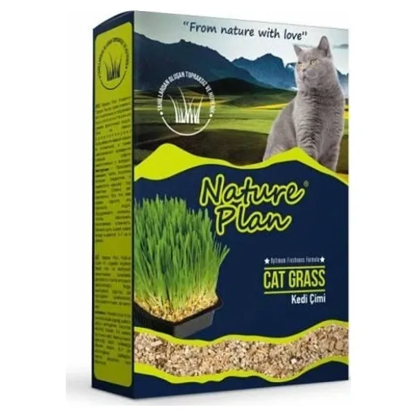 NaturePlan Kedi Çimi