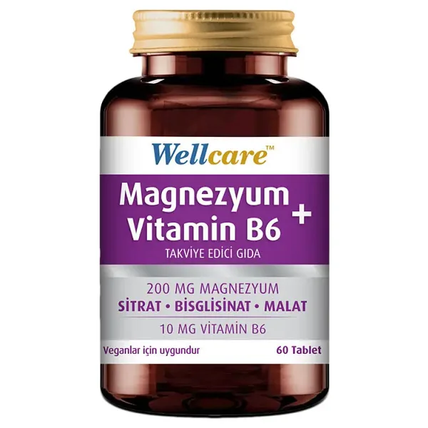 Wellcare Magnezyum + Vitamin B6 60 Tablet