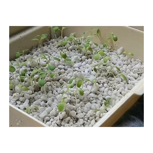 20 Litre Tarım Perliti