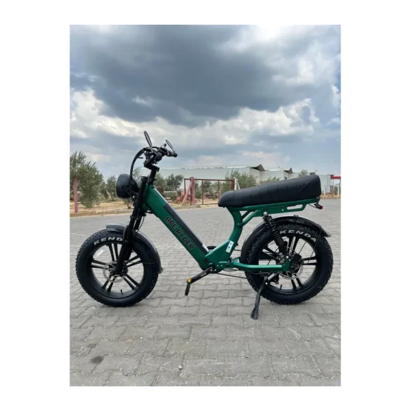 Ape Ryder MD10 Premium 750 W Elektrikli Bisiklet