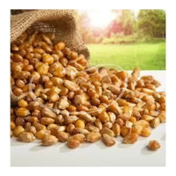 Gaziantep Pazarı Mısır Kavurgası 1 Kg