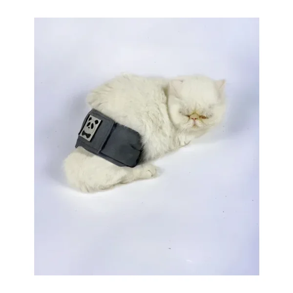 Kedi Cis Bel Bandi Yikanabilir Sizdirmaz Kedi Kiyafeti