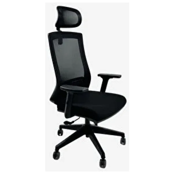 Ofisimi Dynamic Fileli Ergonomik Çalışma Koltuğu - Ayarlanabilir Kollar Başlık Bel Desteği - Siyah