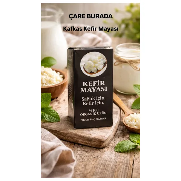 Çare Burada Kafkas Kefir Mayası