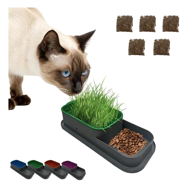 MADPET Topraksız Kedi Çimi Kabı Mavi - 5 Paket Çim Tohumlu Hidroponik Çim Yetiştirme Seti - Kediler için Doğal Çim Yetiştirme Kutusu - Evde Kolay Çimlendirme ve Sindirim Desteği