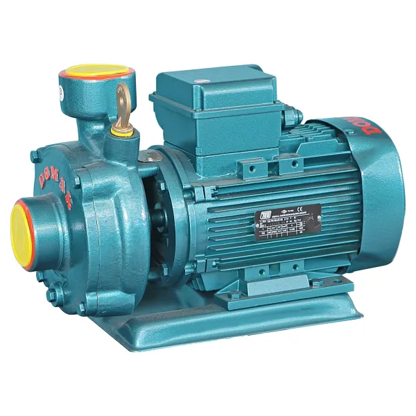 Domak SLG-200 2K 220 V 3 Hp Monoblok Elektropomp