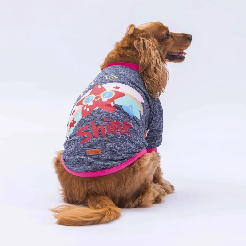 Pawstar Antrasit Shine Kedi Köpek Sweati - Kedi Köpek Kıyafeti - XL