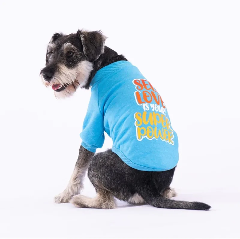 Pawstar Turkuaz Power Polarlı Küçük Irk Köpek Sweatshirtü