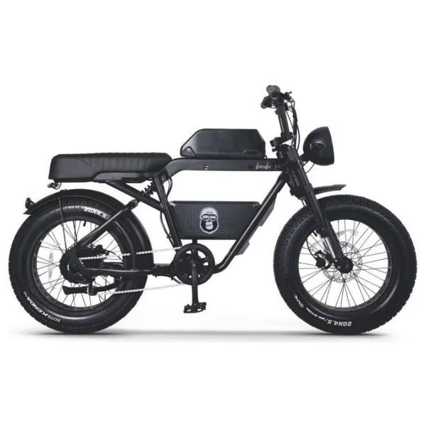 Ape Ryder Bonobo 250 W Siyah İki Kişilik Elektrikli Bisiklet
