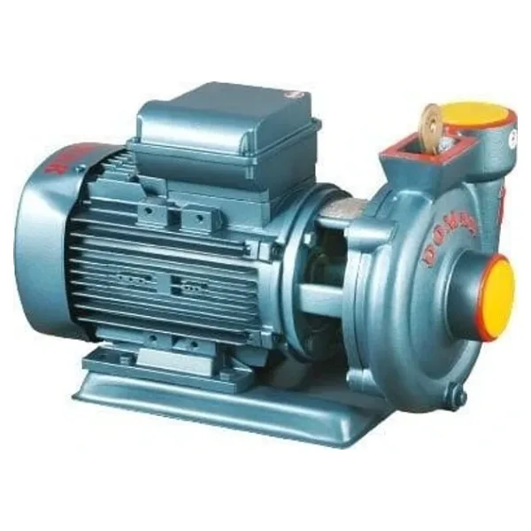 Domak SLG 1.5 220 V 1 Hp Monoblok Elekropomp
