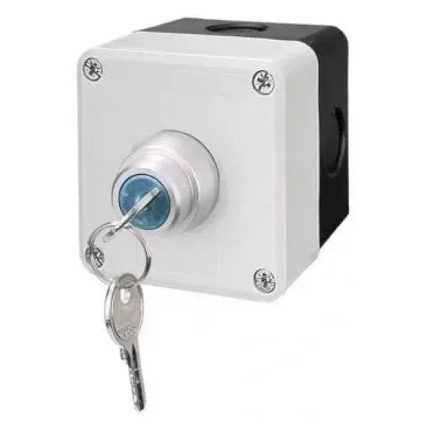 Tekli Anahtarlı Switch Buton Kutusu