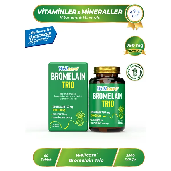 Wellcare Bromelain Trio 60 Tablet