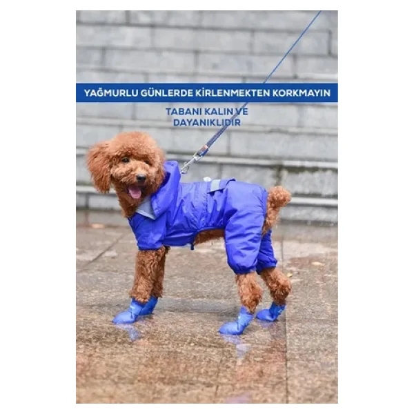 Kedi ve Köpekler İçin Pati Ayakkabısı, Silikon Kaymaz Taban Cırt Cırtlı Pati Ayakkabısı
