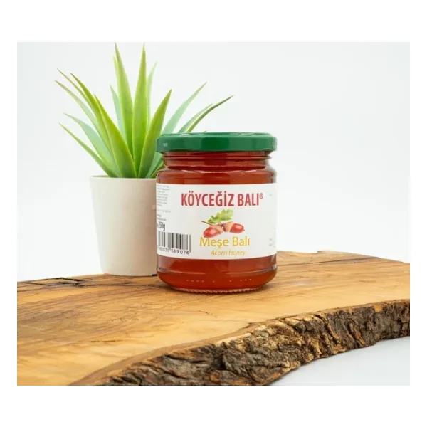Köyceğiz Meşe Balı 250 gr Cam