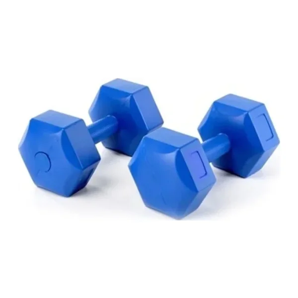 Leyaton 2x10 kg Plastik Dambıl