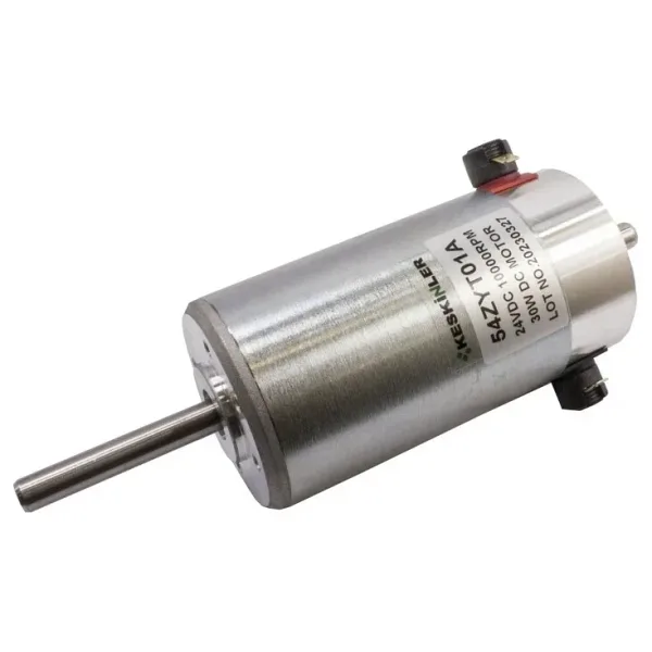 54ZYT01A 24V 10000RPM DC Motor