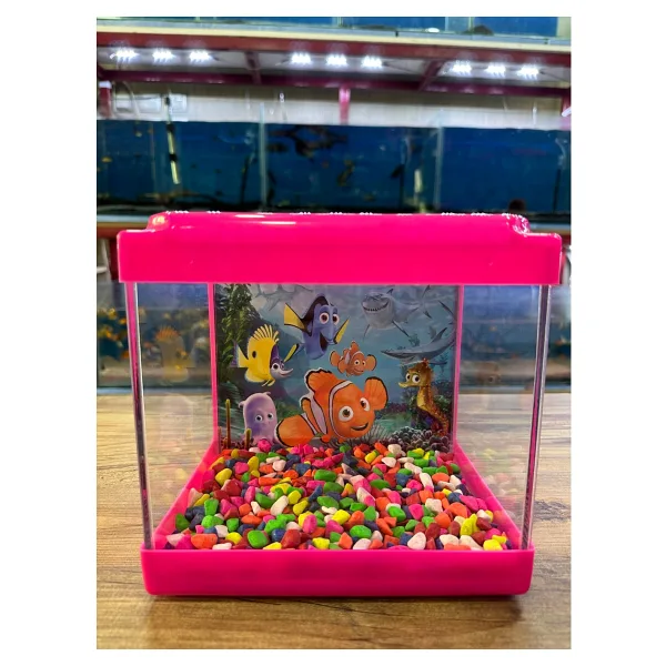 Ertargın Shop Pembe Kare Mini Akvaryum 20X20X15